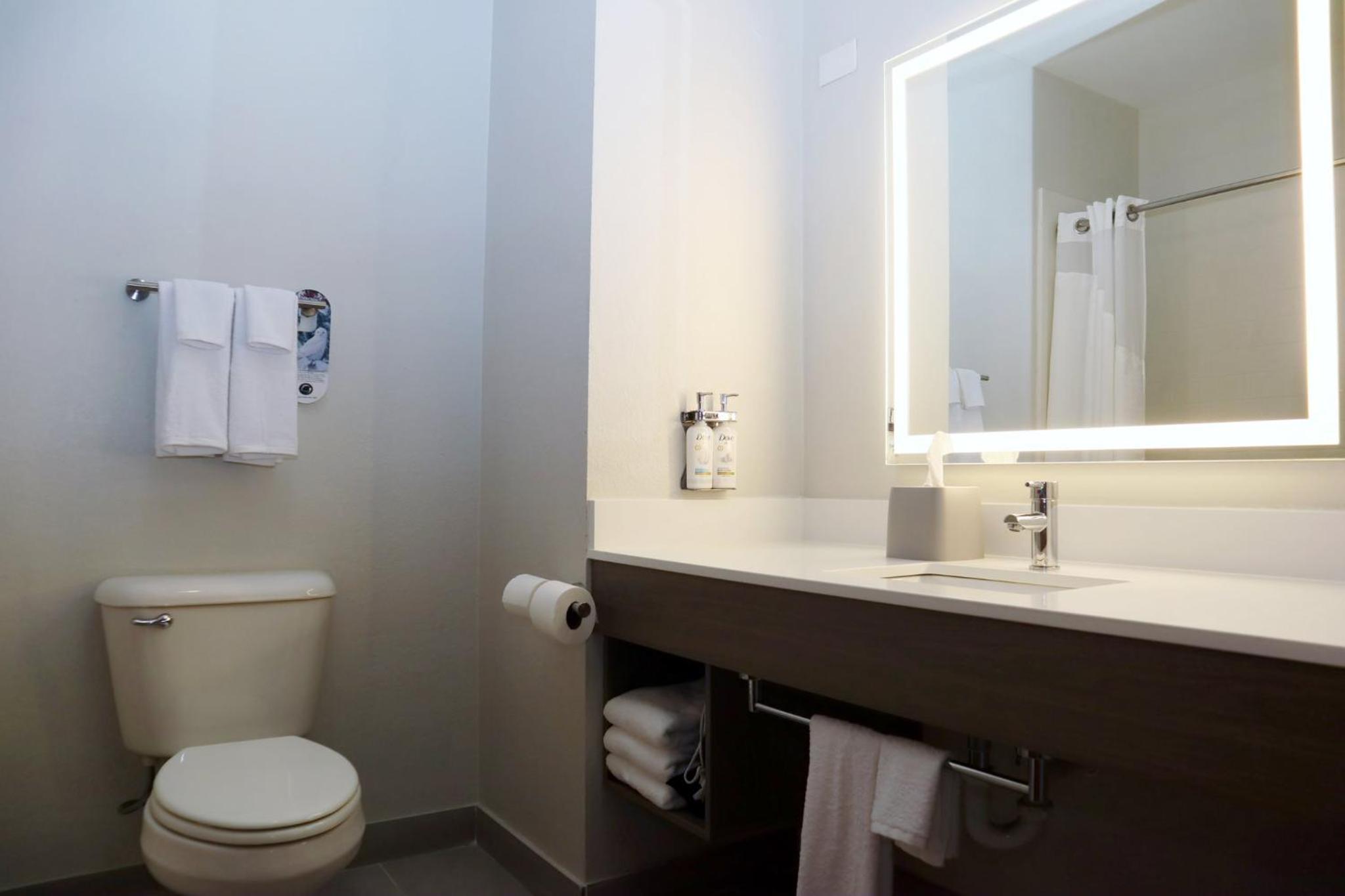 holiday inn express and suites baton rouge north