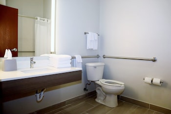 Holiday Inn Express And Suites Baton Rouge North,Baton Rouge>>Baker,3 star