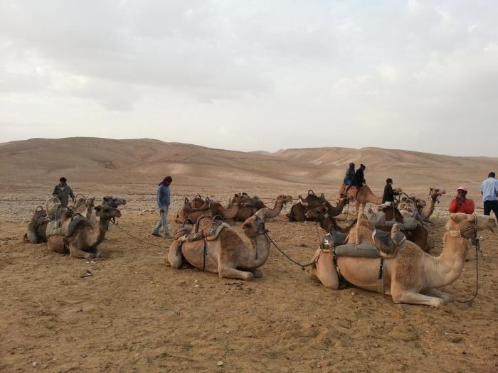 aloni guest house dead sea