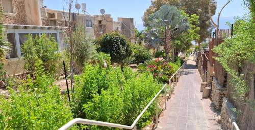 aloni guest house dead sea