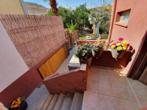 aloni guest house dead sea