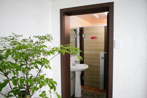 dream guest house