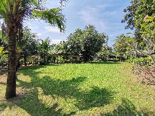 rawai