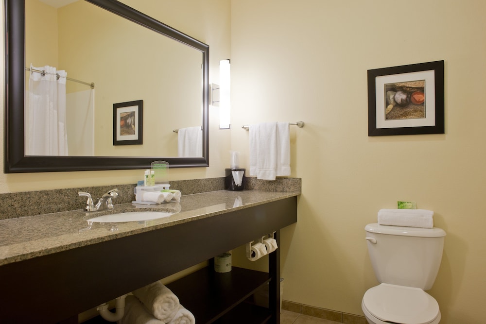 holiday inn express hotel and suites prattville south by ihg