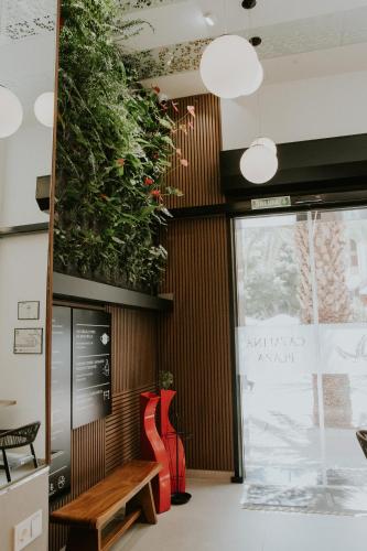 hotel catalina plaza sostenible