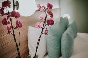 hotel catalina plaza sostenible