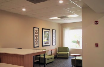 Holiday Inn Express Hotel & Suites Tampa-Fairgrounds-Casino By Ihg,Florida>>Dover,3 star