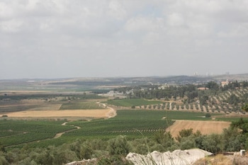 mateh yehuda