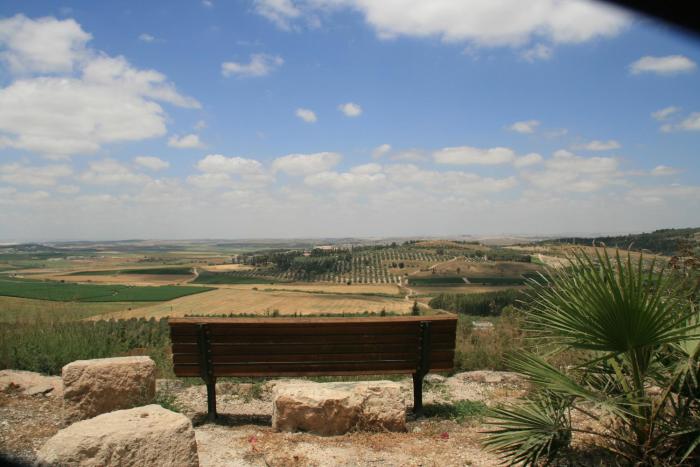 mateh yehuda