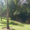 morelia