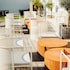 the falcon hotel
