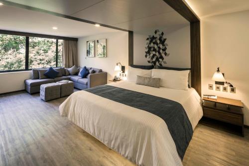 flowsuites condesa adults only