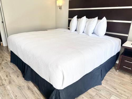 americas best value inn arlington