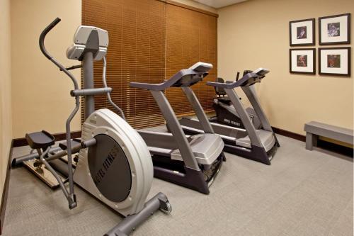 holiday inn hotel and suites phoenix airport by ihg
