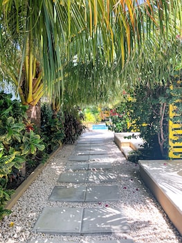 bubali bliss studios