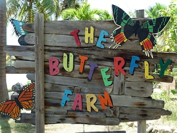 bubali bliss studios
