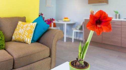 bubali bliss studios