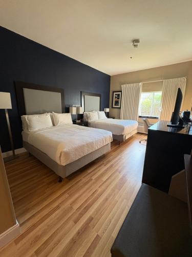 holiday inn hotel and suites slidell by ihg