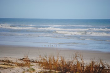 daytona beach