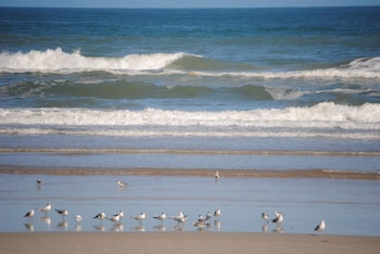 daytona beach