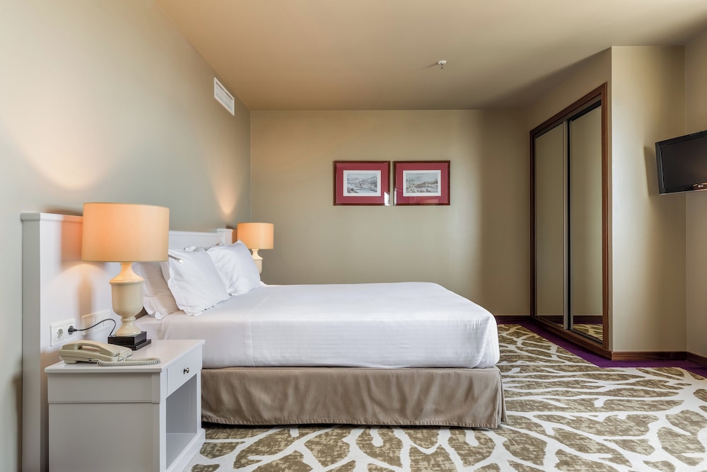 holiday inn porto gaia by ihg