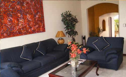 suites colibri