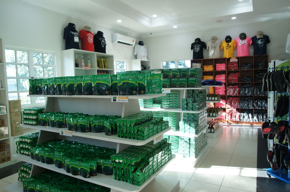 sabah tea resort