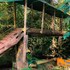 hotel del bosque