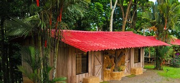 hotel del bosque