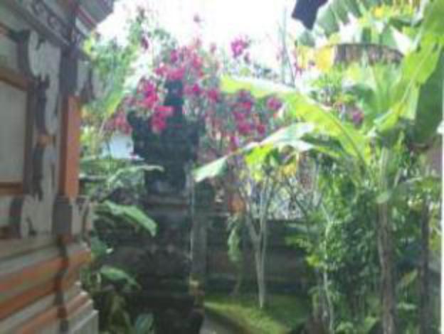ubud