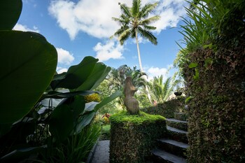 villa kupu kupu