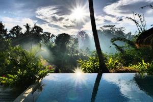 Villa Kupu-Kupu,Payangan>>Bali,5 star