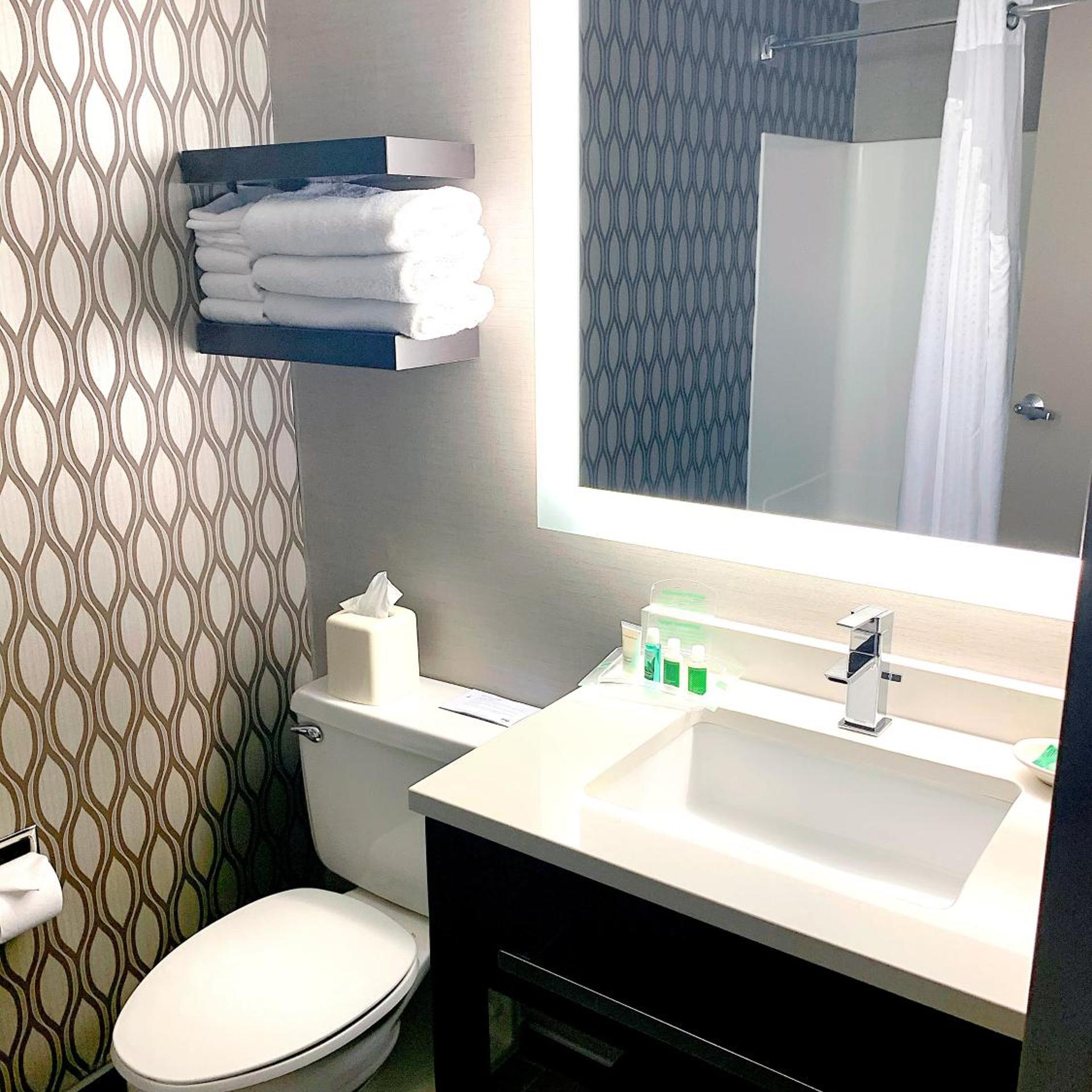 holiday inn st paul downtown by ihg