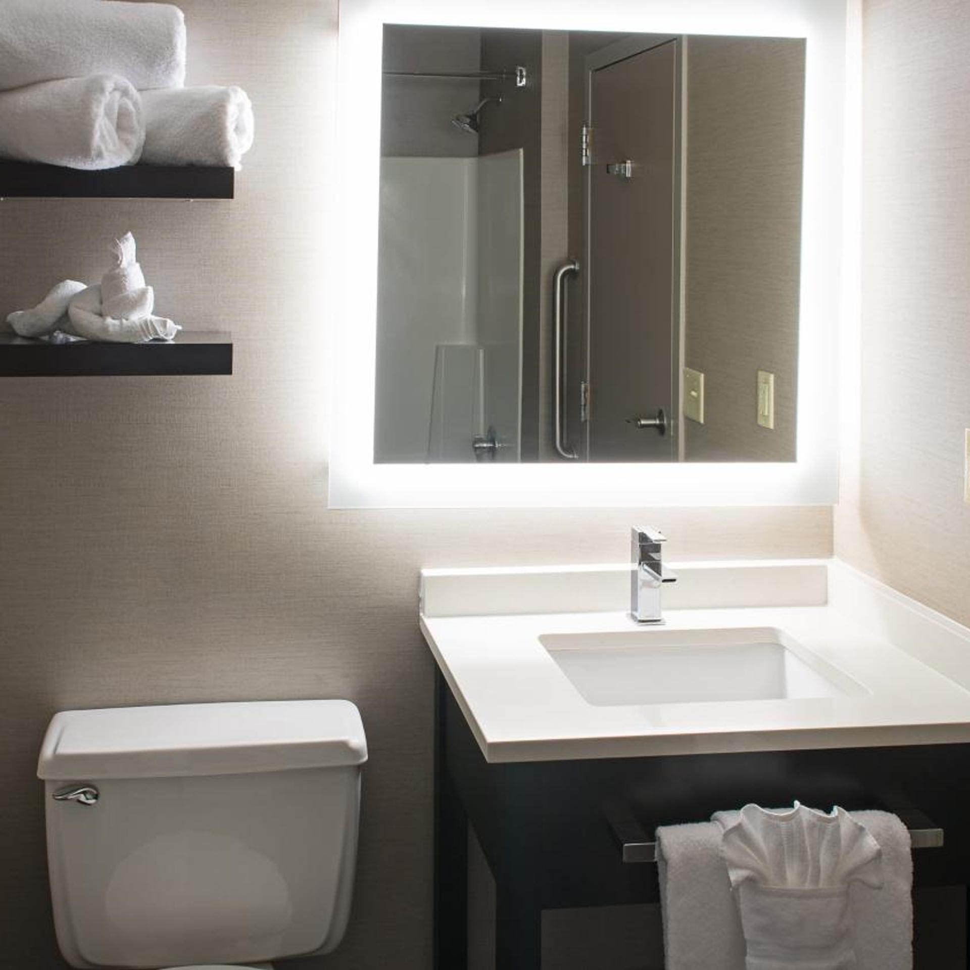 holiday inn st paul downtown by ihg