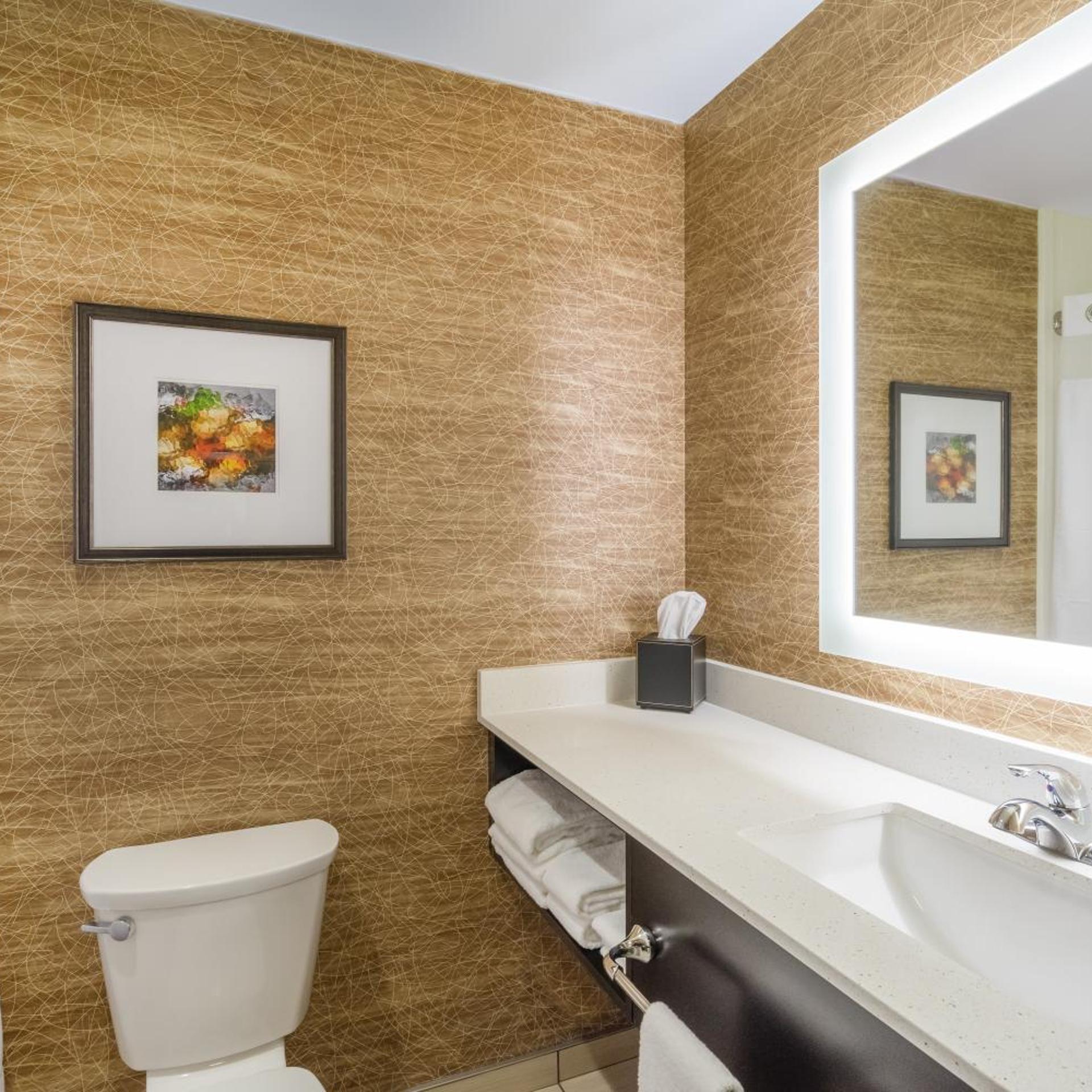 holiday inn terre haute by ihg