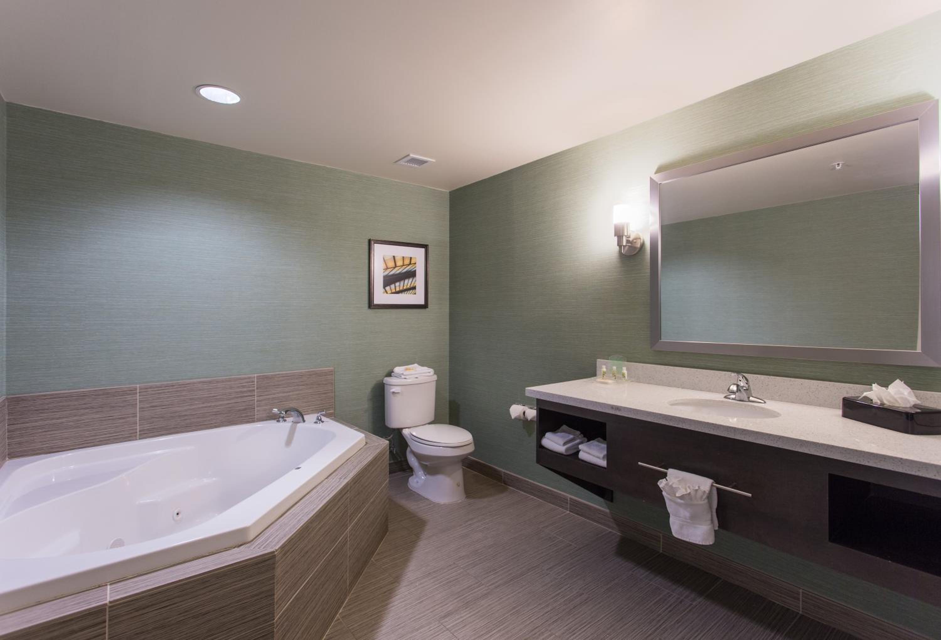 holiday inn texarkana arkansas conv ctr by ihg
