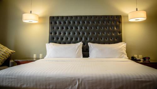holiday inn tuxtla gutierrez by ihg