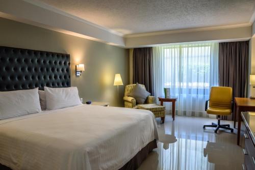 holiday inn tuxtla gutierrez by ihg