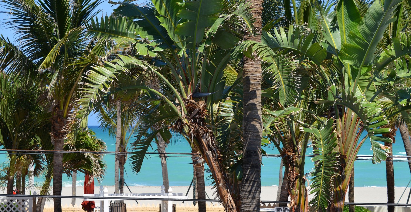 hollywood by the sea hotel