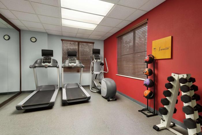 homewood suites by hilton north dallas plano