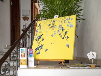 B&B Alma,Lucca>>Forte Dei Marmi,3 star