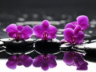 homewood suites by hilton toronto airport corporate centre