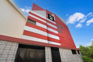 trivedi international