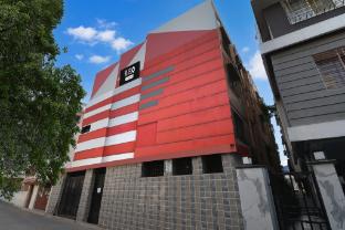 trivedi international