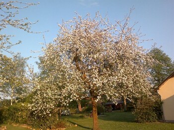 Domaine Les Marronniers,Cambremer>>Calvados,4 star