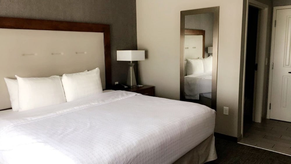 homewood suites by hilton syracuse carrier circle