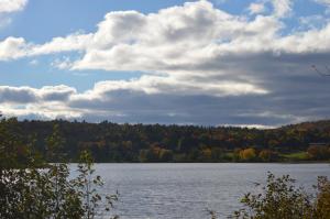 barrys bay