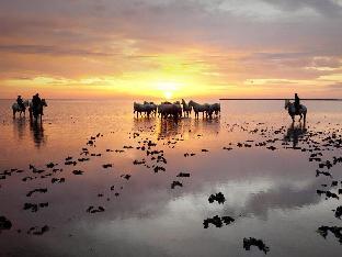 saintes maries de la mer