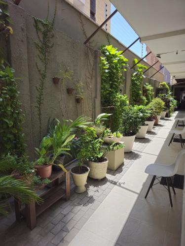 ocean praia hotel ltda