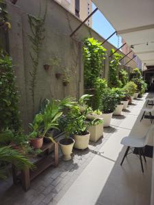 ocean praia hotel ltda